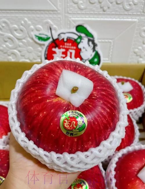 世界杯外围苹果最佳